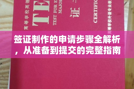 罗山签证制作的申请步骤全解析，从准备到提交的完整指南