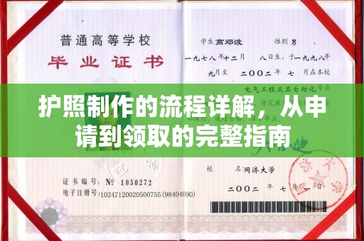 罗山护照制作的流程详解，从申请到领取的完整指南