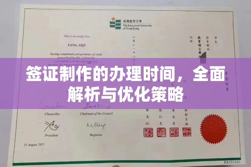罗山签证制作的办理时间，全面解析与优化策略