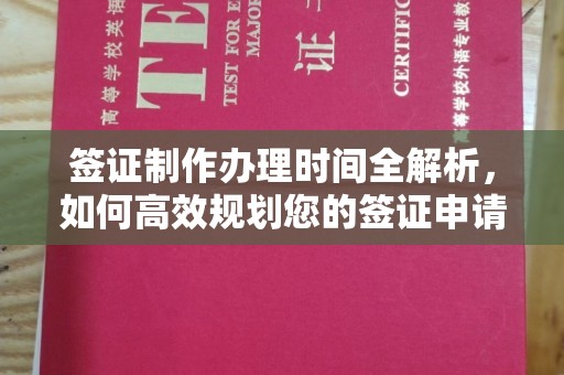 罗山签证制作办理时间全解析，如何高效规划您的签证申请流程